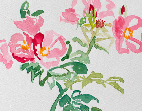 unbekannt - Pfingstrosen - 1990 - Aquarell