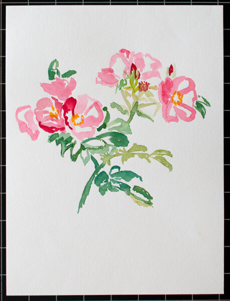 unbekannt - Pfingstrosen - 1990 - Aquarell