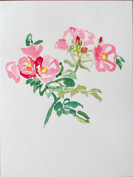 unbekannt - Pfingstrosen - 1990 - Aquarell