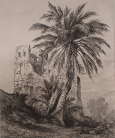 Albert Berg - Dattelpalme in Sandurli - o.J. - Radierung