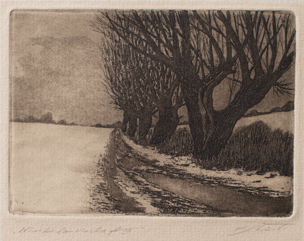 unleserlich signiert - Winterlandschaft III - o.J. - Radierung