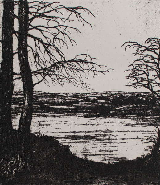 M. D. - Seeufer - 1978 - Radierung