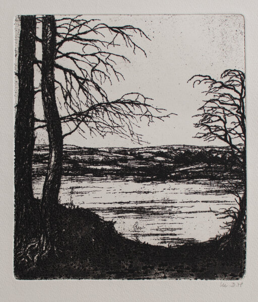 M. D. - Seeufer - 1978 - Radierung