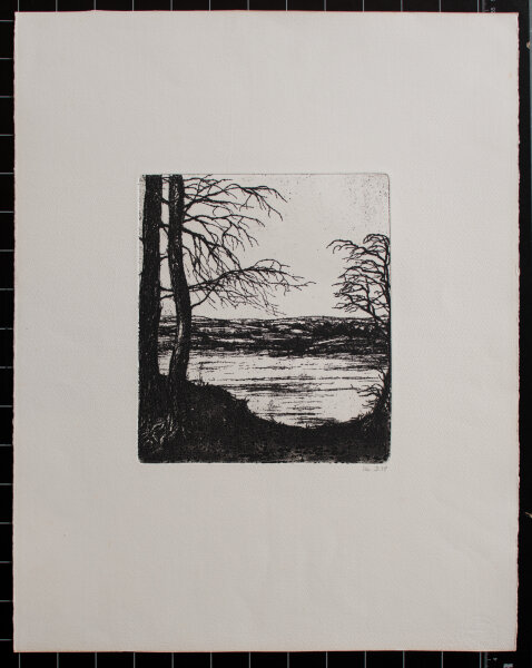 M. D. - Seeufer - 1978 - Radierung