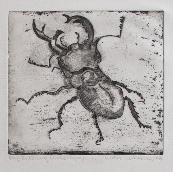 Wiebke Weinreich - Hirschkäfer - 1976 - Radierung