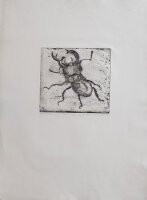 Wiebke Weinreich - Hirschkäfer - 1976 - Radierung