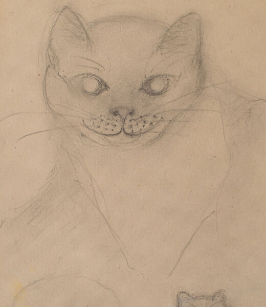 unbekannt - Katze - o.J. - Zeichnung