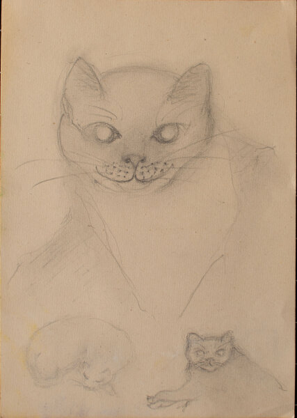 unbekannt - Katze - o.J. - Zeichnung