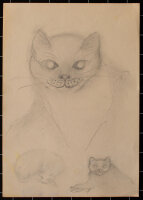 unbekannt - Katze - o.J. - Zeichnung