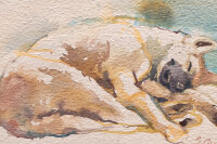 Sonia Craen - Schlafender Hund - o.J. - Aquarell
