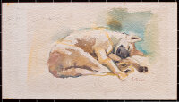Sonia Craen - Schlafender Hund - o.J. - Aquarell