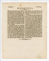 Jacob Xaver Schmuzer - Meerigel - o.J. - Kolorierter Kupferstich