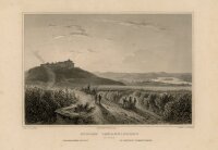 Ludwig Rohbock - Schloss Johannisberg - o.J. - Stahlstich