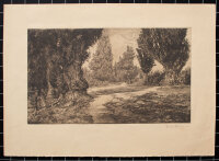 unleserlich signiert - Parklandschaft - o.J. - Radierung