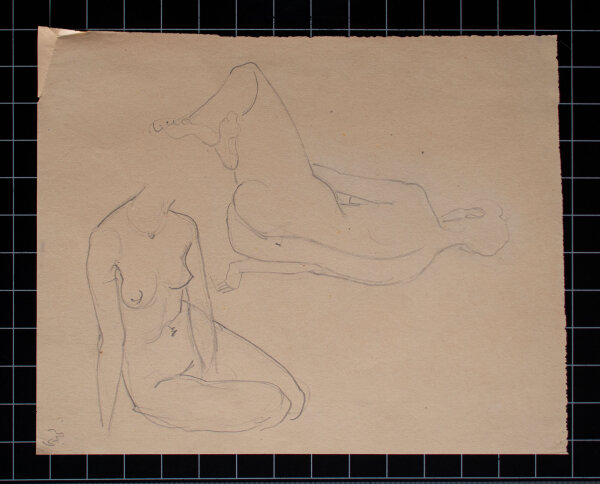 Hertha Peschke-Scholz - Weibliche Aktstudien - o.J. - Bleistift