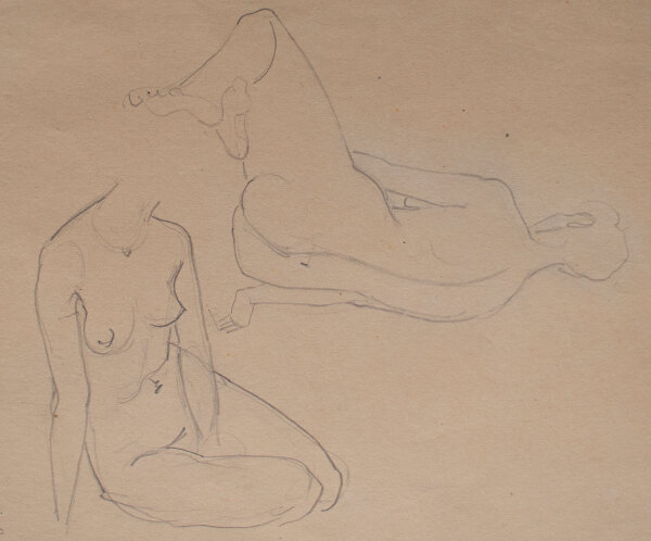 Hertha Peschke-Scholz - Weibliche Aktstudien - o.J. - Bleistift