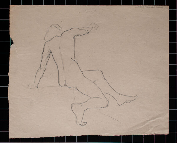 Hertha Peschke-Scholz - Männliche Aktstudien - o.J. - Bleistift