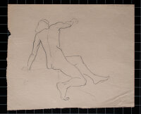 Hertha Peschke-Scholz - Männliche Aktstudien - o.J. - Bleistift