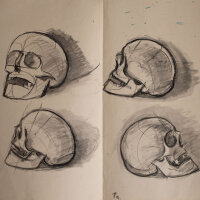 Hertha Peschke-Scholz - Vier Totenschädel - o.J. -...