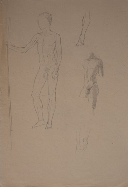 Hertha Peschke-Scholz - Männliche Aktstudie - o.J. - Bleistift