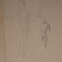 Hertha Peschke-Scholz - Männliche Aktstudie - o.J. -...