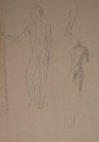 Hertha Peschke-Scholz - Männliche Aktstudie - o.J. - Bleistift