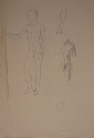 Hertha Peschke-Scholz - Männliche Aktstudie - o.J. - Bleistift