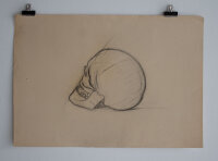 Hertha Peschke-Scholz - Studie eines Schädels - o.J....