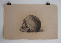 Hertha Peschke-Scholz - Studie eines Schädels /...