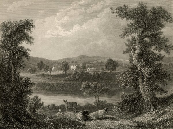 Edward Goodall - Dinsdale - o.J. - Stahlstich