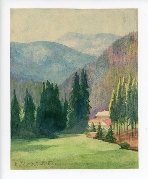 unbekannt - Landschaft mit Tannen - o.J. - Aquarell