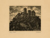 unbekannt - Schloss und Tannen - o.J. - Radierung