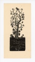 unbekannt - Birnenbaum und Trauben - o.J. - Holzstich