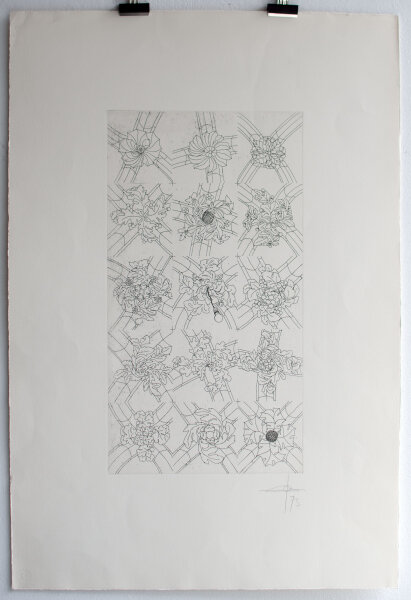 Jonas Hafner - Decke Ansicht - 1973 - Kaltnadelradierung