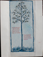 unbekannt - Kahler Baum - o.J. - Buntstiftzeichnung