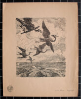Hans Thoma - Zugvögel - 1916 - Radierung