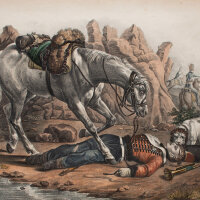 Karl Joseph Brodtmann - Franzoesisches Pferd - o.J. -...