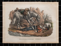 Karl Joseph Brodtmann - Franzoesisches Pferd - o.J. -...