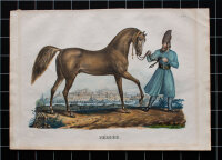 Karl Joseph Brodtmann - Perser - o.J. - Aquarellierte...