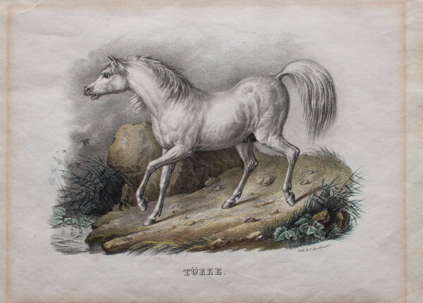 Karl Joseph Brodtmann - Türke - o.J. - Aquarellierte Lithografie