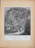 Johann Elias Ridinger - Nimmersatt! - o.J. - Radierung