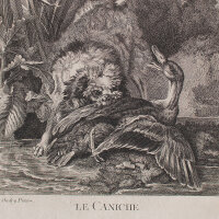 Jean Baptiste Guélard nach Jean Baptiste Oudry -...