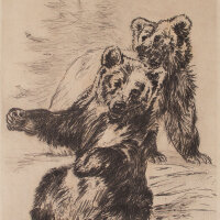Karl Fischer - Spielende Bären - o.J. - Radierung...