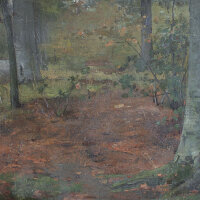 unleserlich signiert - Waldlandschaft - o.J. - Öl...