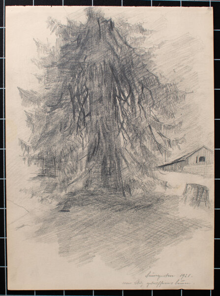 Mathilde von End - Vom Blitz getroffener Baum - 1925 - Bleistift