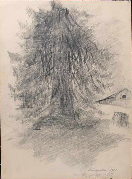 Mathilde von End - Vom Blitz getroffener Baum - 1925 - Bleistift