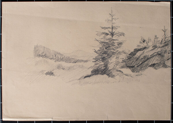 Mathilde von End - Tanne - o.J. - Bleistift