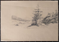 Mathilde von End - Tanne - o.J. - Bleistift