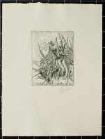 Unbekannt - Echinofossulocactus pentacanthus - 1977 -...