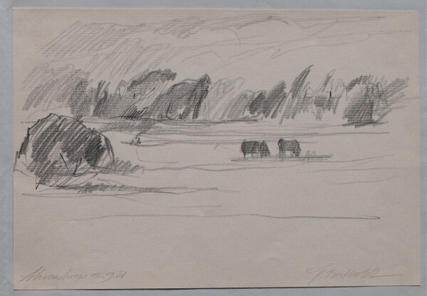 Jochen Bertholdt - Ahrenshoop, Weidelandschaft mit Kühen - 1978 - Bleistift